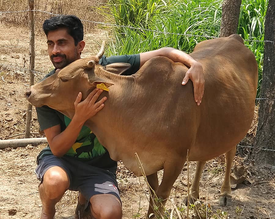 ಐಟಿ ಎಂಜಿನಿಯರ್‌ ಪಶುಪಾಲನಾದಾಗ