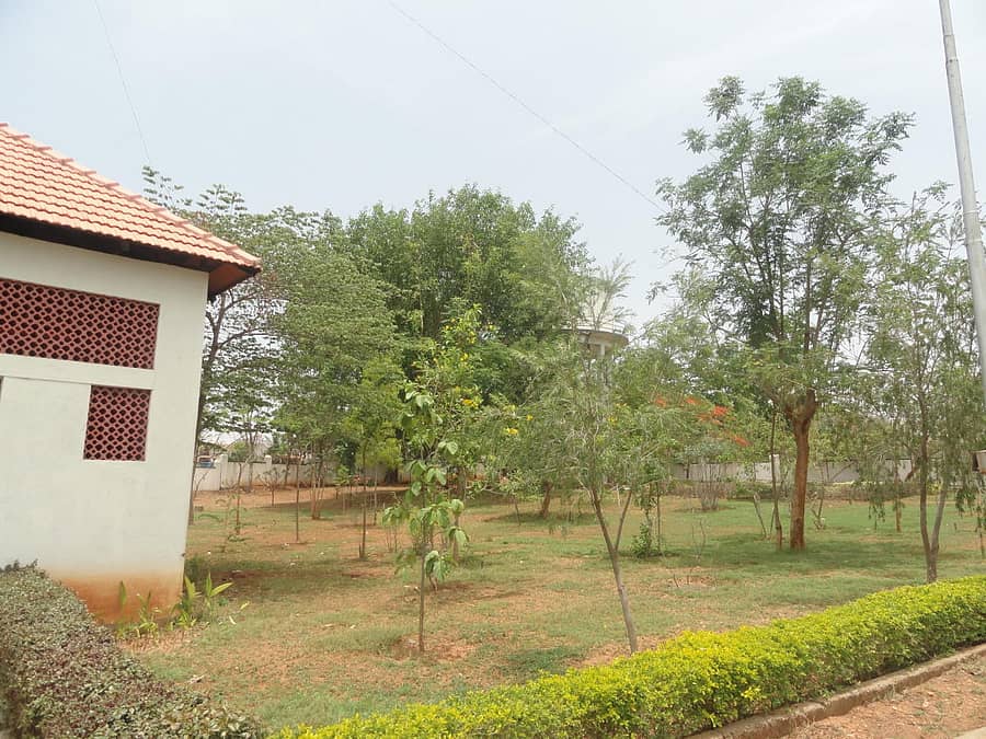 ಮುಕ್ತಿಧಾಮದಲ್ಲಿ ಗಿಡಗಳು