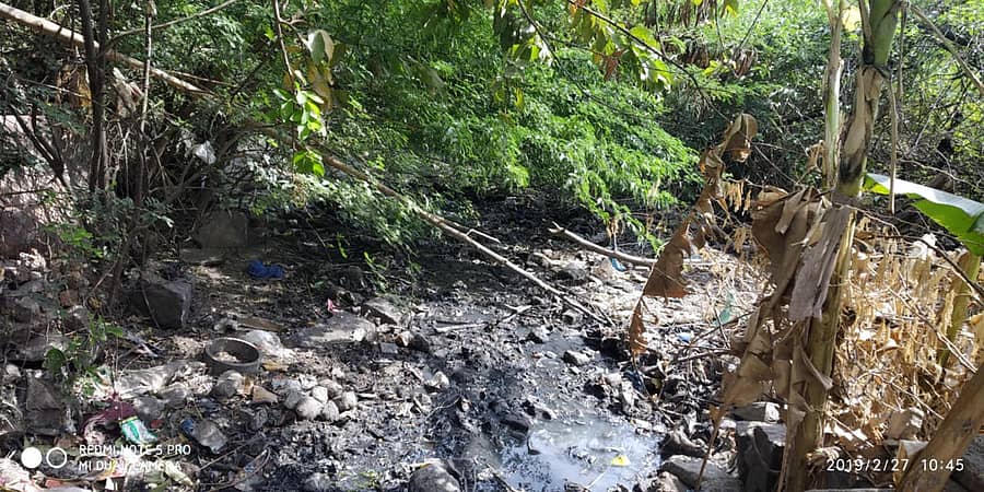 ರಾಯಚೂರಿನ ಅಜಾದನಗರದಲ್ಲಿರುವ ಉದ್ಯಾನದ ಜಾಗವು ಹಂದಿಗಳ ವಾಸಸ್ಥಳವಾಗಿ ಬದಲಾಗಿದೆ