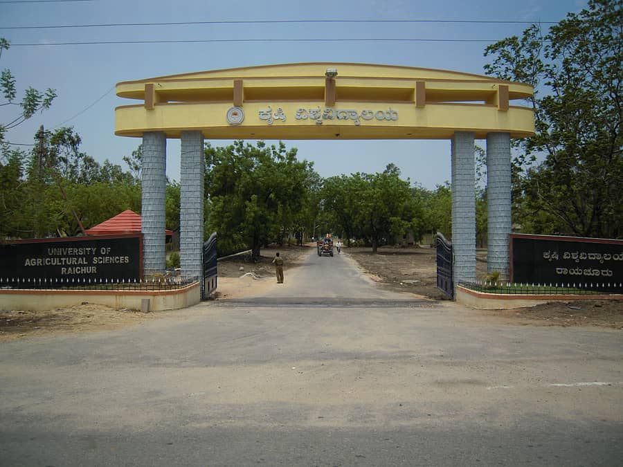 ರಾಯಚೂರು ಕೃಷಿ ವಿಶ್ವವಿದ್ಯಾಲಯದ ದ್ವಾರ