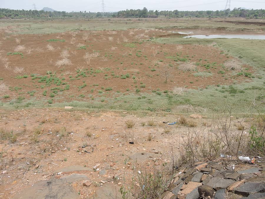 ಕನಕಪುರ ಅವರೆಮಾಳ ರಾಂಪುರದ ಗಟ್ಟಾಳ್ಕೆರೆ