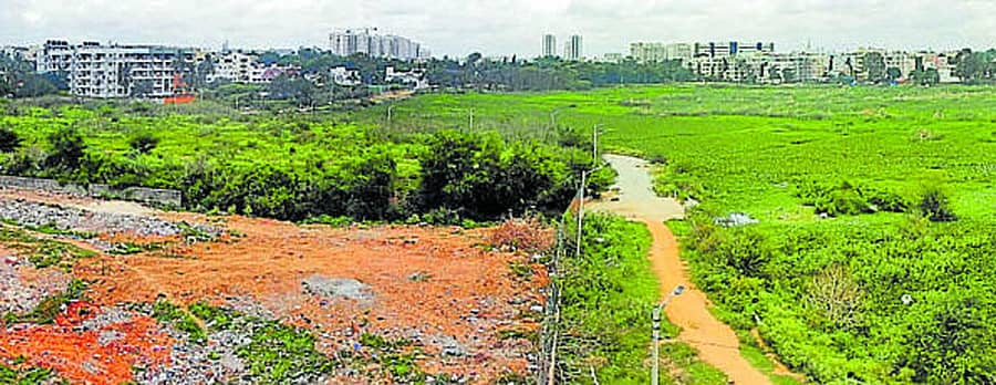 ಕಗ್ಗದಾಸಪುರ ಕೆರೆಯ ನೋಟ –ಪ್ರಜಾವಾಣಿ ಸಂಗ್ರಹ ಚಿತ್ರ