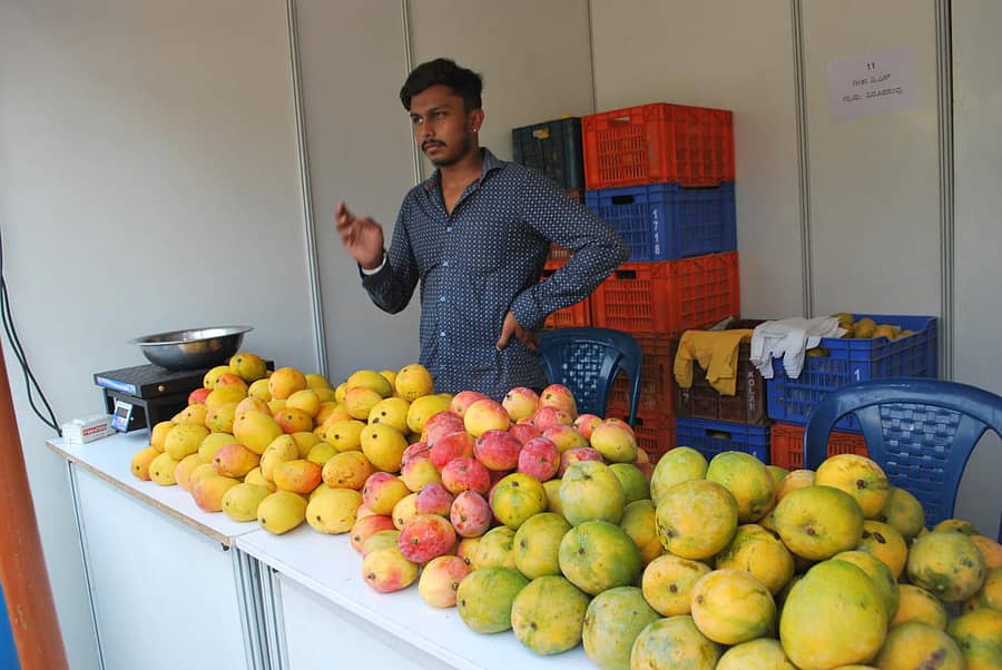 ಮೇಳದಲ್ಲಿನ ಮಳಿಗೆಯಲ್ಲಿ ಮಾರಾಟಕ್ಕೆ ಇಟ್ಟ ಹಣ್ಣುಗಳು