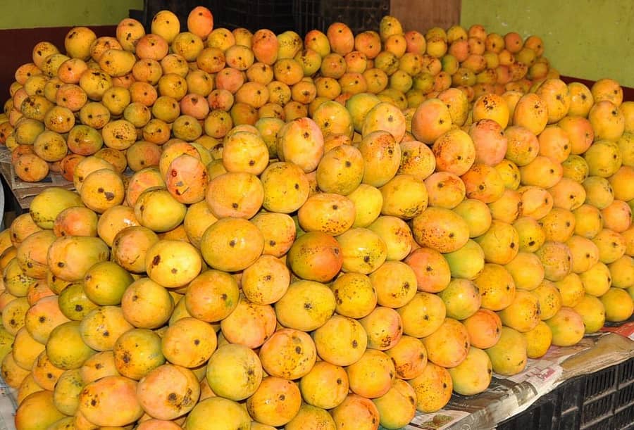 ಸಂಗ್ರಹ ಚಿತ್ರ