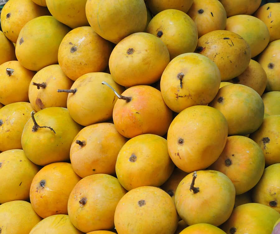 ಸಾಂದರ್ಭಿಕ ಚಿತ್ರ