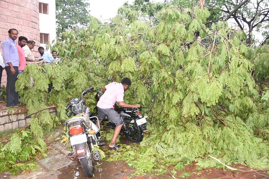 ಕಲಬುರ್ಗಿ ನಗರದಲ್ಲಿ ಭಾನುವಾರ ಮಧ್ಯಾಹ್ನ ಬೀಸಿದ ಭಾರಿ ಗಾಳಿಯಿಂದಾಗಿ ಪಂಡಿತ್ ಎಸ್.ಎಂ.ಪಂಡಿತ ರಂಗಮಂದಿರ ಆವರಣದಲ್ಲಿರುವ ಮರವೊಂದು ನೆಲಕ್ಕುರುಳಿದ್ದು, ಮರದ ಕೆಳಗೆ ನಿಲ್ಲಿಸಿದ್ದ ವಾಹನವನ್ನು ಬೈಕ್ ಮಾಲೀಕರು ತೆಗೆದ ನೋಟ