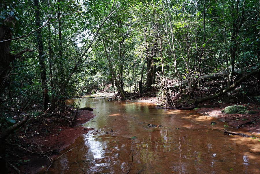 ಘಟ್ಟದ ನೀರು ನಿಧಾನವಾಗಿ ಕರಗುತ್ತಿದೆ