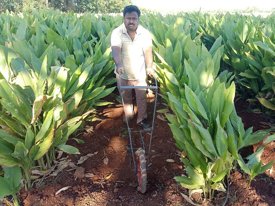 ಬಹುಬೆಳೆಯ ಕೃಷಿಕ