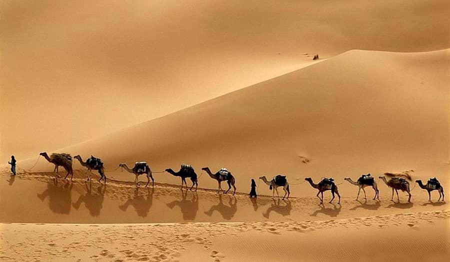 ಚಿತ್ರಗಳು: www.hdwallpapers.in