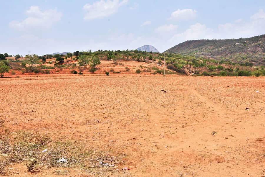 ಚಿಕ್ಕಬಳ್ಳಾಪುರ ಹೊರವಲಯದಲ್ಲಿ ಬಿತ್ತನೆಯಾದ ಬೀಳು ಬಿದ್ದ ಜಮೀನು