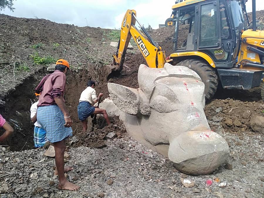 ಮೈಸೂರು ತಾಲ್ಲೂಕಿನ ಅರಸಿನಕೆರೆ ಗ್ರಾಮದಲ್ಲಿ ಹೂತು ಹೋಗಿದ್ದ ಬೃಹತ್ ನಂದಿ ವಿಗ್ರಹದ ಸುತ್ತಲಿನ ಮಣ್ಣನ್ನು ತೆರವುಗೊಳಿಸಿದರು