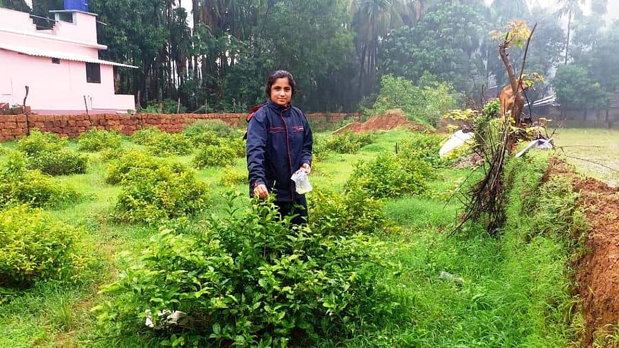 ಮಲ್ಲಿಗೆ ತೋಟದಲ್ಲಿ ಮಲ್ಲಿಗೆ ಮೊಗ್ಗು ಕೀಳುತ್ತಿರುವ ಮೇಘನಾ