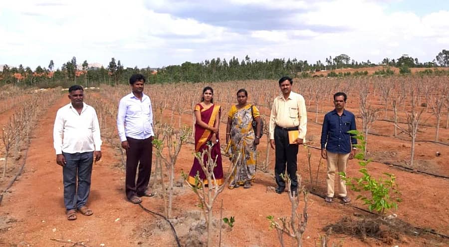 ರೇಷ್ಮೆ ತೋಟ ಪರಿಶೀಲಿಸುತ್ತಿರುವ ತಾಲ್ಲೂಕು ಪಂಚಾಯಿತಿ ಪ್ರಭಾರ ಅಧ್ಯಕ್ಷೆ ನಂದಿನಿ