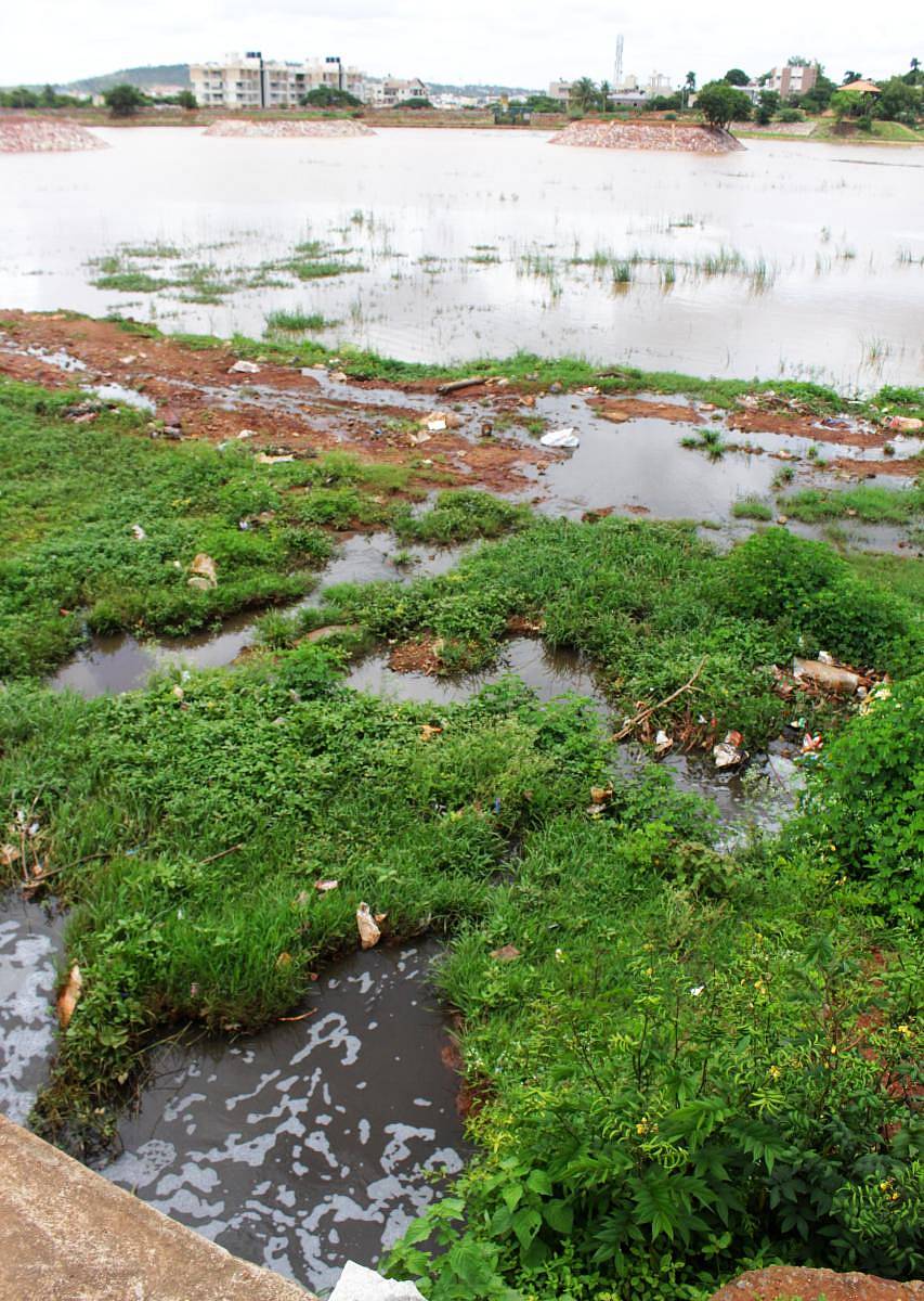 ಹುಬ್ಬಳ್ಳಿಯ ತೋಳನಕೆರೆಯ ಒಡಲನ್ನು ಗಟಾರದ ಕೊಳಚೆ ನೀರು ಸೇರುತ್ತಿರುವುದು  