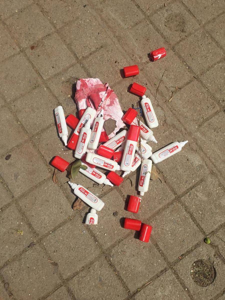 ಉದ್ಯಾನದಲ್ಲಿ ಬಿದ್ದಿದ್ದ ವೈಟ್ನರ್