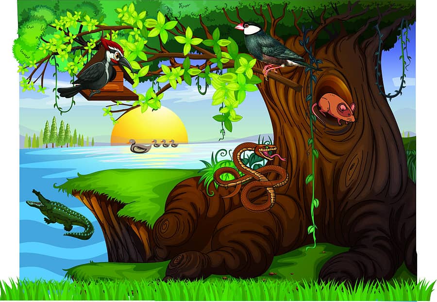 ಕಲೆ: ವಿಜಯಾಕುಮಾರಿ ಆರ್.