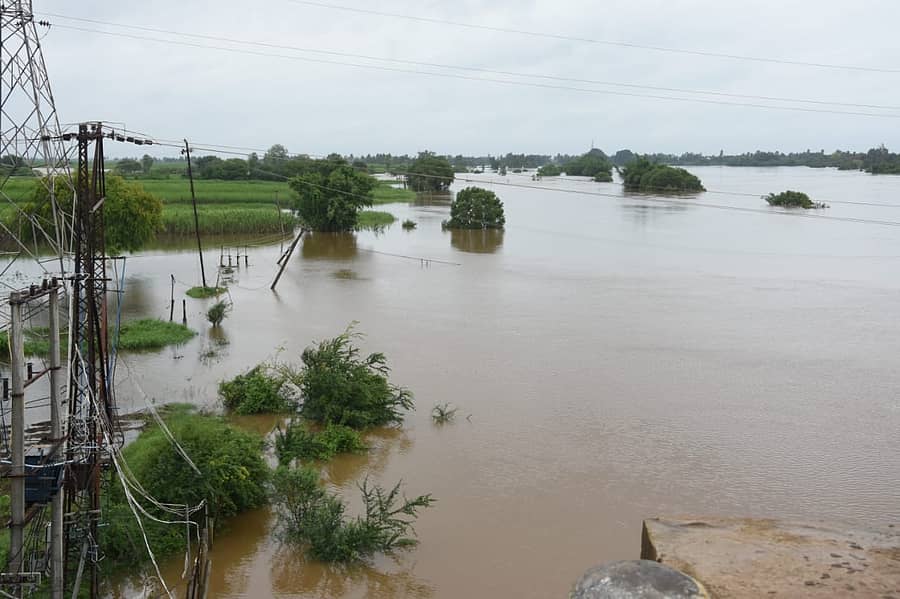 ಚಿಕ್ಕೋಡಿ ತಾಲ್ಲೂಕು ಕಲ್ಲೋಳ ಬಳಿ ಕೃಷ್ಣಾ ನದಿ ನೀರು ಬೆಳೆಗಳಿಗೆ ನುಗ್ಗಿದೆ