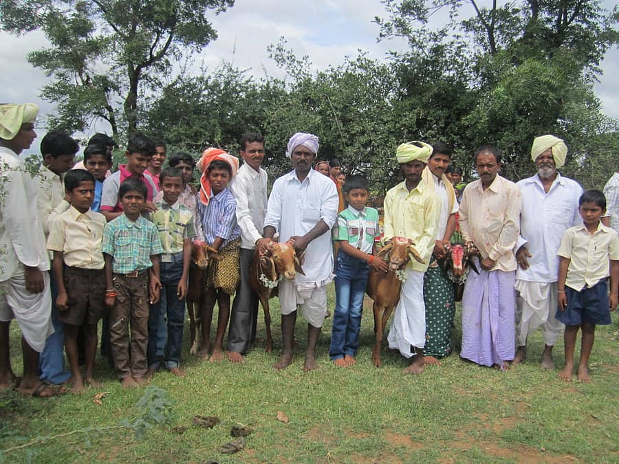 ಪಂಚಮಿಯ ಕುರಿ ಪೂಜೆ –ಚಿತ್ರಗಳು: ಲೇಖಕರವು