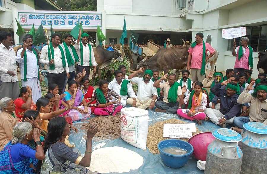 ಪಶು ಆಹಾರ ಬೆಲೆ ಹೆಚ್ಚಳದ ಕ್ರಮ ಖಂಡಿಸಿ ರಾಜ್ಯ ರೈತ ಸಂಘ ಮತ್ತು ಹಸಿರು ಸೇನೆ ಸದಸ್ಯರು ಕೋಲಾರದಲ್ಲಿ ಸೋಮವಾರ ಕೋಚಿಮುಲ್ ಆಡಳಿತ ಕಚೇರಿಗೆ ಮುತ್ತಿಗೆ ಹಾಕಿ ಧರಣಿ ನಡೆಸಿದರು.