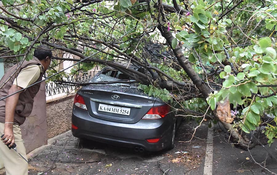 ಸಂಜಯನಗರದಲ್ಲಿ ಮರ ಬಿದ್ದ ಪರಿಣಾಮ ಕಾರು ಜಖಂಗೊಂಡಿರುವುದು  –ಪ್ರಜಾವಾಣಿ ಚಿತ್ರಗಳು