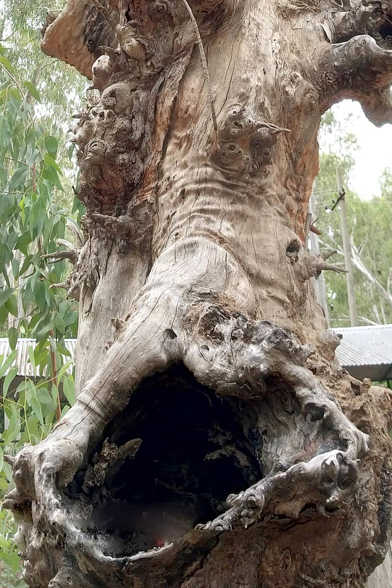 ಚಿತ್ರಗಳು: ಲೇಖಕರವು