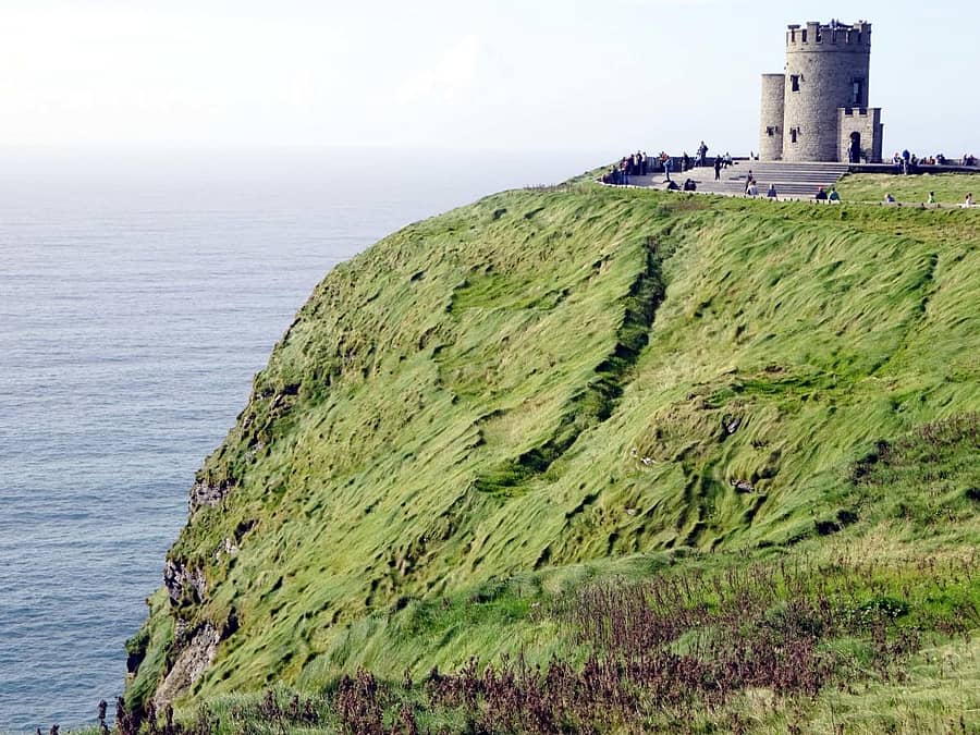 ಚಿತ್ರಗಳು: ಲೇಖಕರವು