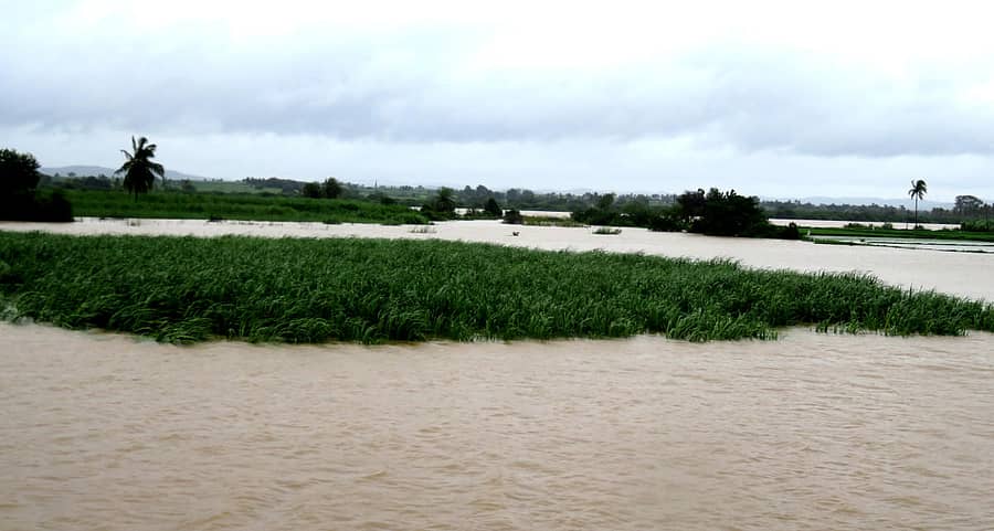 ಹೂವಿನಹಡಗಲಿ ತಾಲ್ಲೂಕು ಹೊಸಹಳ್ಳಿಯಲ್ಲಿ ಕಬ್ಬಿನ ಗದ್ದೆ ಜಲಾವೃತಗೊಂಡಿರುವುದು