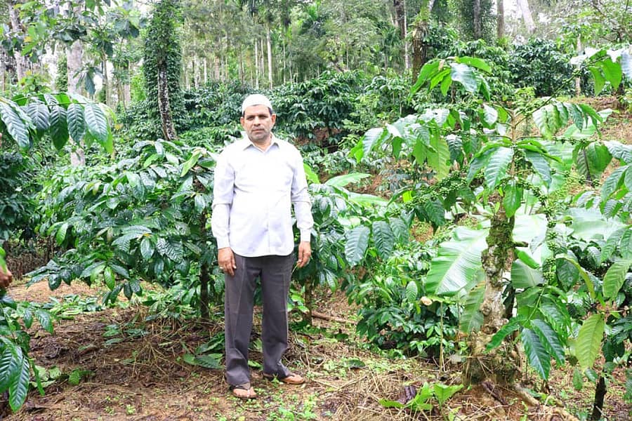 ಕಾಫಿ ತೋಟದಲ್ಲಿ ಎಚ್.ಎಂ. ಅಬ್ದುಲ್ ಹಾಜಿ