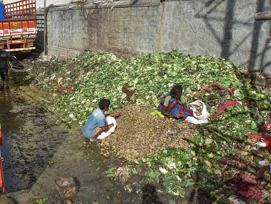 ಬಿಸಾಡಿದ ಕಸದ ರಾಶಿಯಲ್ಲಿಯೇ ತರಕಾರಿ ಆಯ್ದುಕೊಳ್ಳುತ್ತಿದ್ದ ಮಹಿಳೆ -ಪ್ರಜಾವಾಣಿ ಚಿತ್ರ