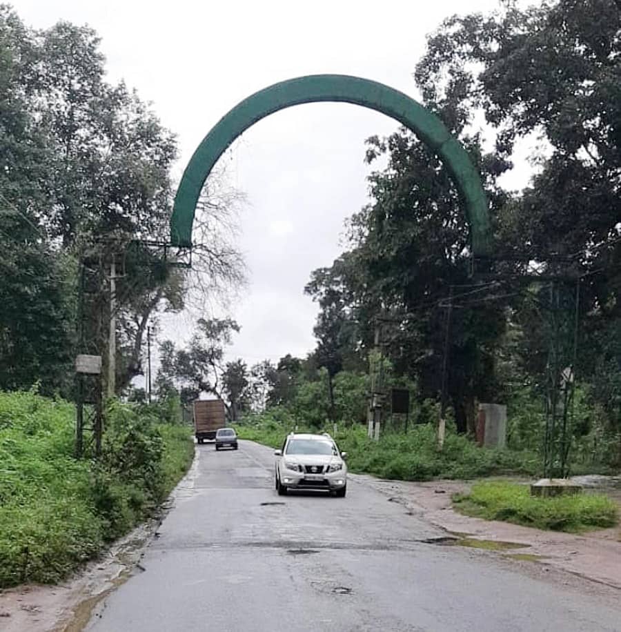 ಗೋಣಿಕೊಪ್ಪಲು ಬಳಿಯ ತಿತಿಮತಿ ಮಜ್ಜಿಗೆಹಳ್ಳ ಬಳಿಯ ನಾಗರಹೊಳೆ ಅರಣ್ಯದ ಹೆದ್ದಾರಿ