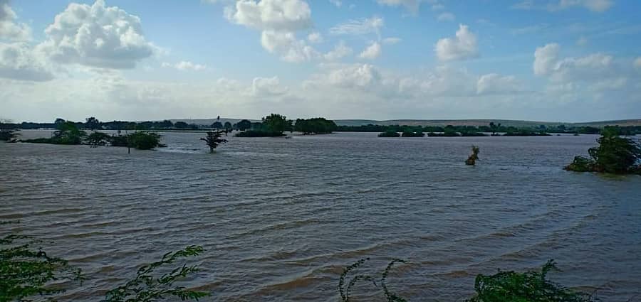 ಗದಗ ಜಿಲ್ಲೆಯ ಹೊಳೆ ಆಲೂರು ಸಮೀಪದ ಗಾಡಗೋಳಿ ಗ್ರಾಮದ ಹೊಲಗಳಲ್ಲಿ ಆವರಿಸಿರುವ ಮಲಪ್ರಭಾ ಪ್ರವಾಹ