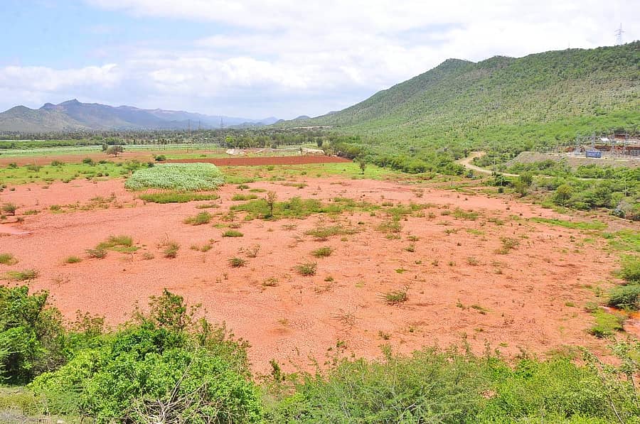 ತುಂಗಭದ್ರಾ ಜಲಾಶಯದ ಸನಿಹದಲ್ಲೇ ಇರುವ ರಾಯರ ಕೆರೆ ಸಂಪೂರ್ಣ ಬತ್ತಿ ಹೋಗಿರುವುದು –ಪ್ರಜಾವಾಣಿ ಚಿತ್ರಗಳು