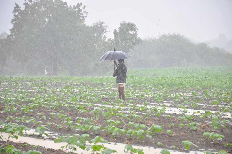 ಹೊಲದಲ್ಲಿ ನೀರು ತುಂಬುತ್ತಿರುವುದನ್ನು ಮಳೆಯಲ್ಲೇ ನಿಂತು ನೋಡುತ್ತಿರುವ ಅಸಹಾಯಕ ರೈತ (ಸಂಗ್ರಹ ಚಿತ್ರ)