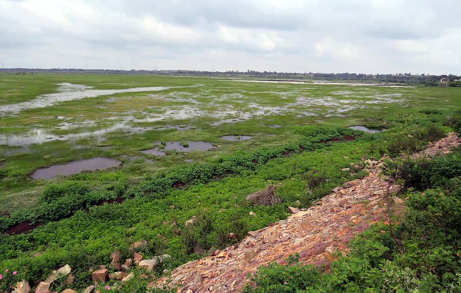 ದಾವಣಗೆರೆ ತಾಲ್ಲೂಕಿನ ಅಣಜಿ ಗ್ರಾಮದ ಬೃಹತ್ ಕೆರೆ ಮಳೆಯ ಕೊರತೆಯಿಂದ ಬರಿದಾಗಿರುವುದು
