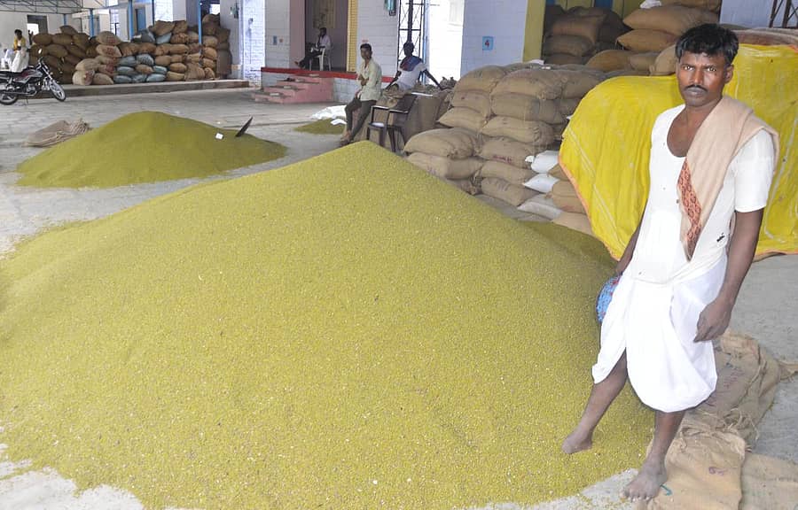 ಯಾದಗಿರಿಯ ಎಪಿಎಂಸಿ ಮಾರುಕಟ್ಟೆಯಲ್ಲಿ ಮಾರಾಟಕ್ಕೆ ತಂದಿರುವ ಹೆಸರುಕಾಳು