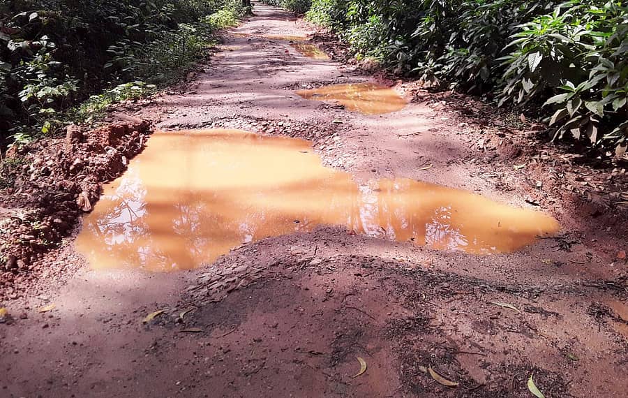 ಕೊಪ್ಪದ ಅಮ್ಮಡಿ, ಗುಣವಂತೆ ರಸ್ತೆ ಹದಗೆಟ್ಟಿರುವುದು