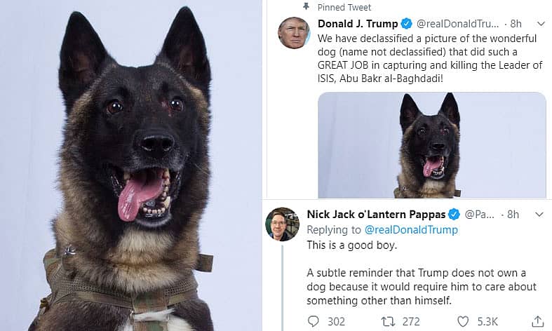 ಸಿರಿಯಾದಲ್ಲಿ ಇಸ್ಲಾಮಿಕ್ ಸ್ಟೇಟ್ ಉಗ್ರ ಅಬುಬಕರ್ ಅಲ್ ಬಾಗ್ದಾದಿಯನ್ನು ಬೆನ್ನಟ್ಟಿದ್ದ ಅಮೆರಿಕ ಸೇನೆಯ ನಾಯಿ.