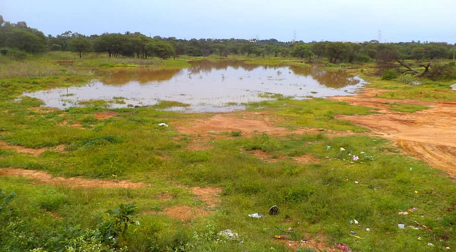 ಕಡತನಮಲೆ ಕೆರೆ