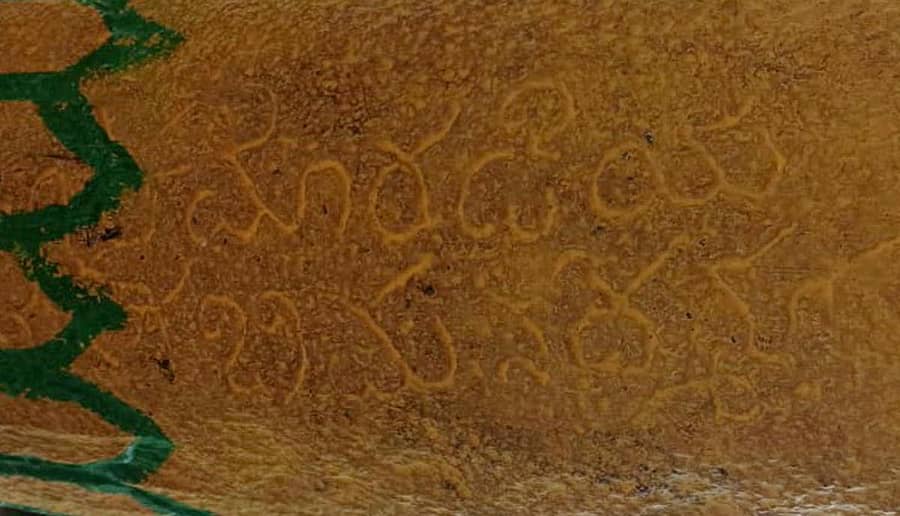 ಯರಿಯೂರು ಗ್ರಾಮದ ದೇವಾಲಯದ ಕಲ್ಲಿನ ಕಂಬದಲ್ಲಿನ ಕನ್ನಡ ಶಾಸನಕ್ಕೆ ಬಣ್ಣ ಬಳಿಯಲಾಗಿದೆ