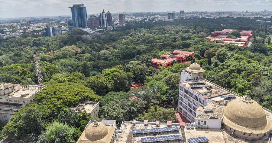 ಕಬ್ಬನ್ಪಾರ್ಕ್ನ ವಿಹಂಗಮ ನೋಟ (ಚಿತ್ರ: ಎಸ್.ಕೆ.ದಿನೇಶ್)