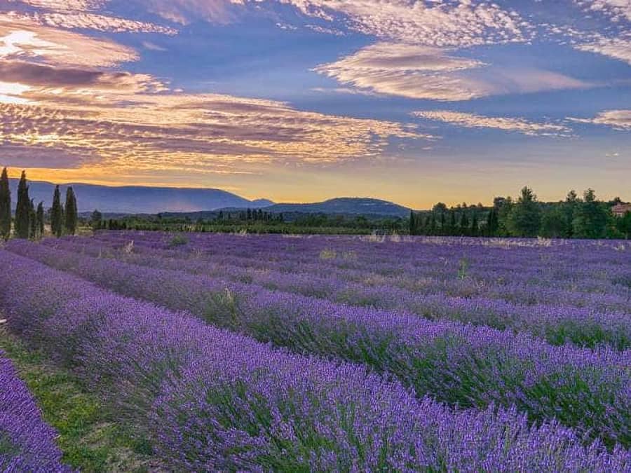 ಒಂದೇ ಕ್ಲಿಕ್ ಹಲವು ಮಾಹಿತಿ