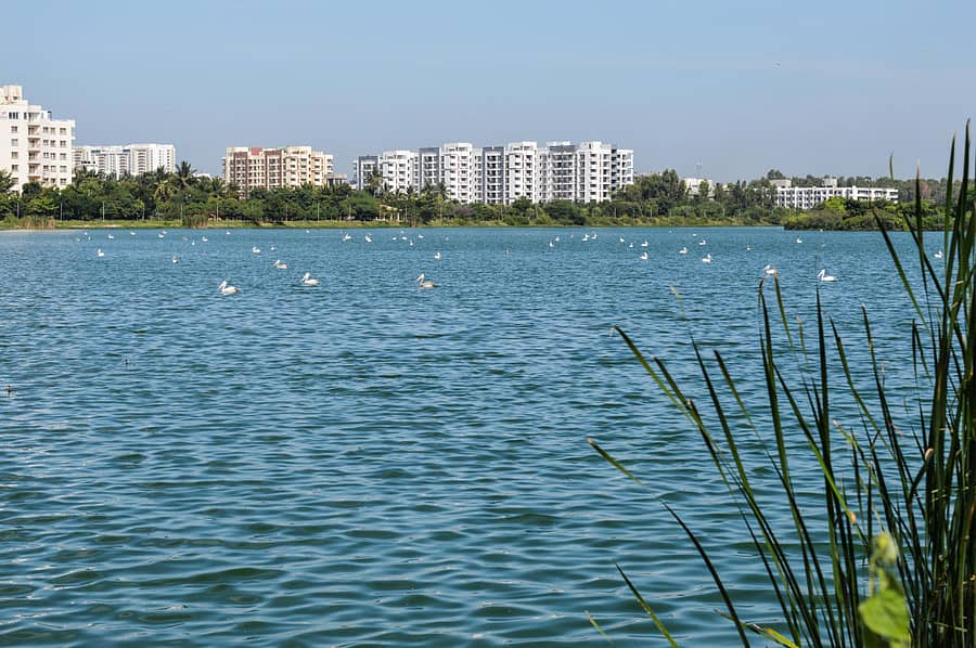 ಜಕ್ಕೂರು ಕೆರೆಯ ನೋಟ