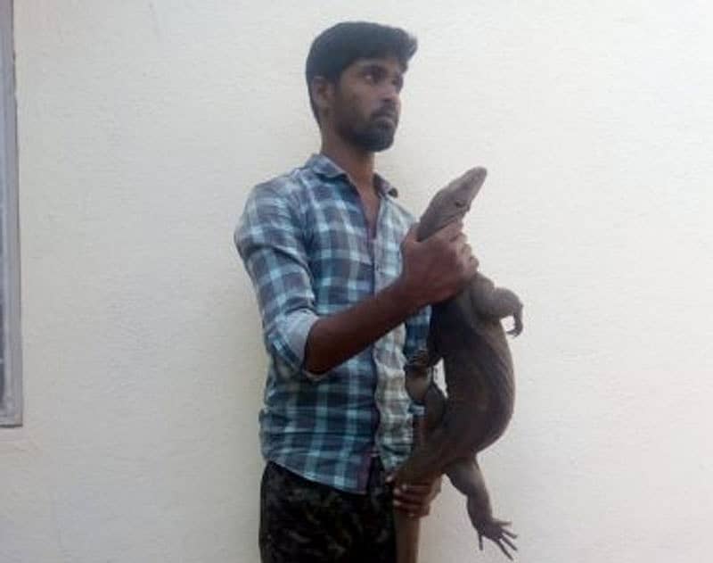 ‘ಉಡ’ದ ಜತೆ ಬಂಧಿತ ಚಿನ್ನ