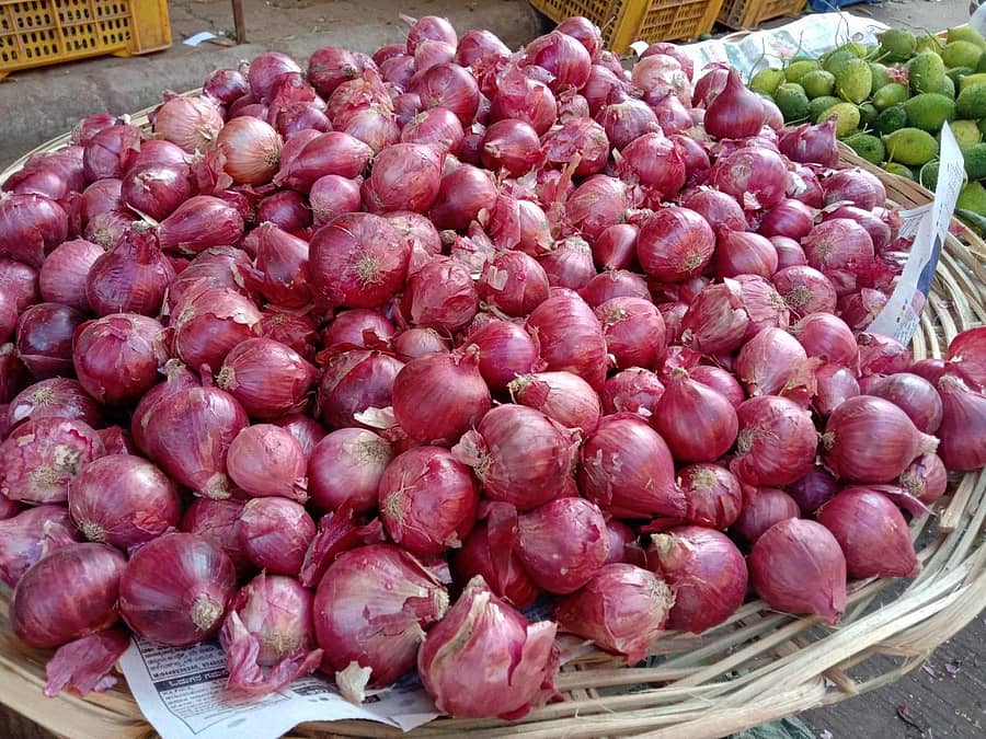 ಈರುಳ್ಳಿ