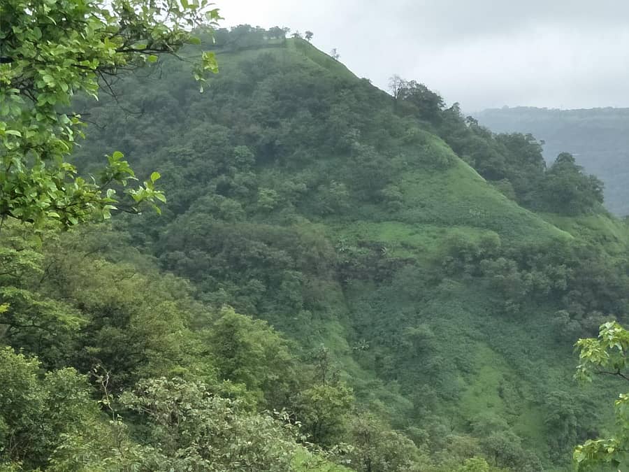 ಅಲ್ಟೆರಾ