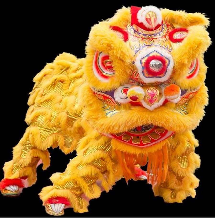 ಲಯನ್ ಡಾನ್ಸ್