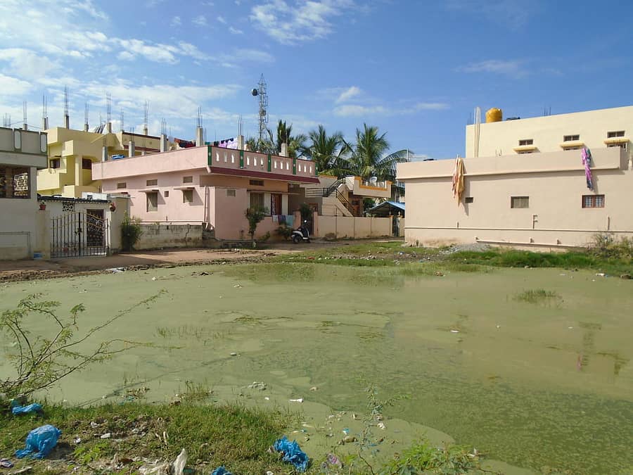 ಸೈದಾಪುರದ ತಾಯಿ ಕಾಲೊನಿಯ ಮನೆಗಳ ಮುಂದೆ ಚರಂಡಿ ನೀರು ಕೆರೆಯಾಗಿ ಪರಿಣಮಿಸಿದೆ