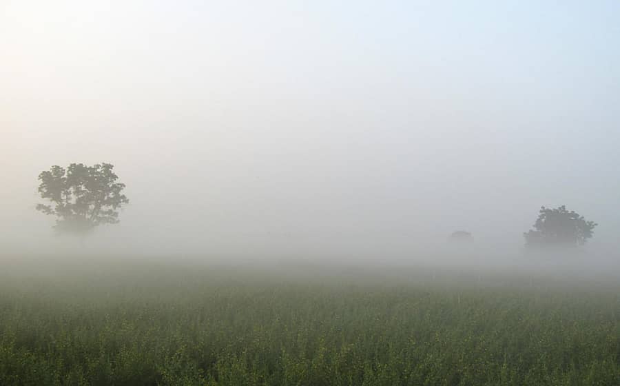 ಚಿತ್ತಾಪುರ ತಾಲ್ಲೂಕಿನ ದಂಡೋತಿ ಗ್ರಾಮದಲ್ಲಿ ಶನಿವಾರ ಬೆಳಿಗ್ಗೆ ದಟ್ಟವಾದ ಮೋಡ ಕವಿದಿತ್ತು