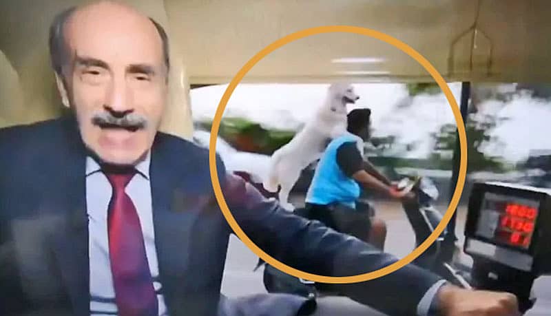 ಆಟೊರಿಕ್ಷಾದಲ್ಲಿ ಬಿಬಿಸಿಯ ಟಾಮ್ ಬ್ರೂಕ್ ವಿಡಿಯೊ ರೆಕಾರ್ಡ್ ಮಾಡುತ್ತಿರುವುದು, ಹಿಂಬದಿಯಲ್ಲಿ ಸ್ಕೂಟರ್ ಮೇಲೆ ಶ್ವಾನದ ಸವಾರಿ