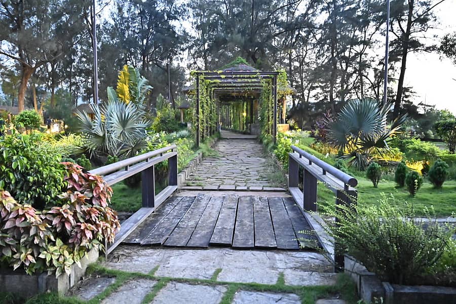 ರಾಕ್ ಗಾರ್ಡನ್